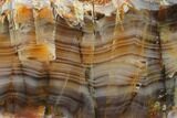Polished Pilbara Agate Slab - Australia #132911-1